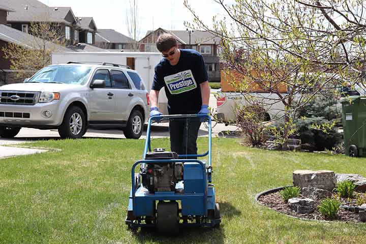 Aeration services at a home property in Calgary, Alberta.